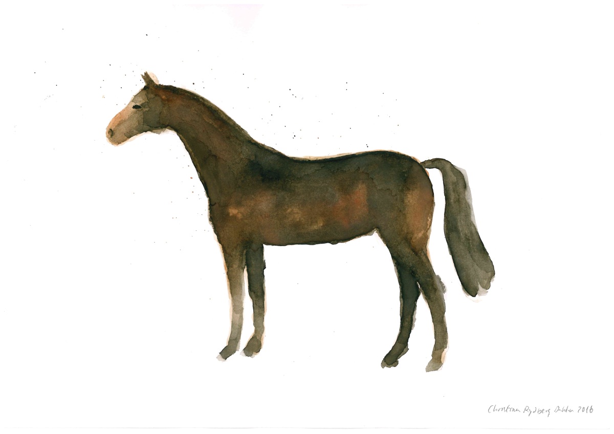 häst1